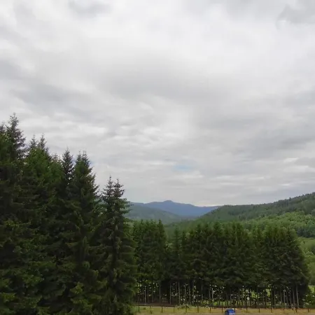 Nest Brčálník Apartman