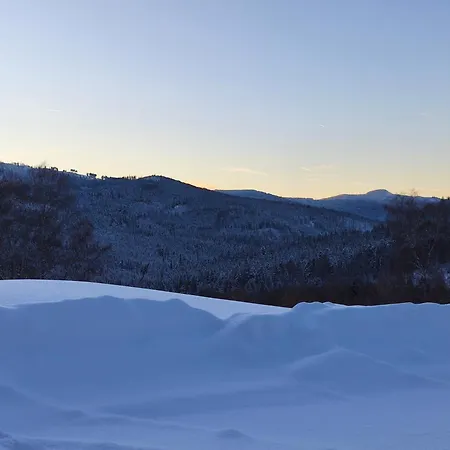 Nest Brčálník Železná Ruda