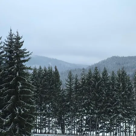 Nest Brčálník Železná Ruda