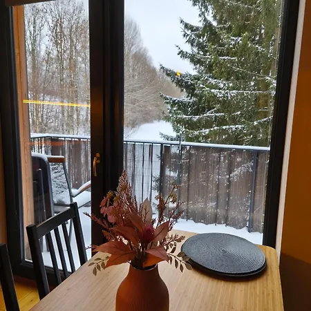 Apartment Nest Brcalnik Železná Ruda