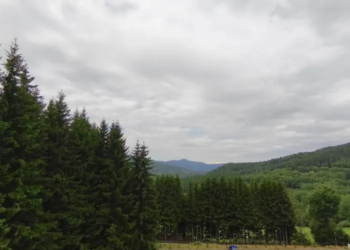 Nest Brcalnik Apartman