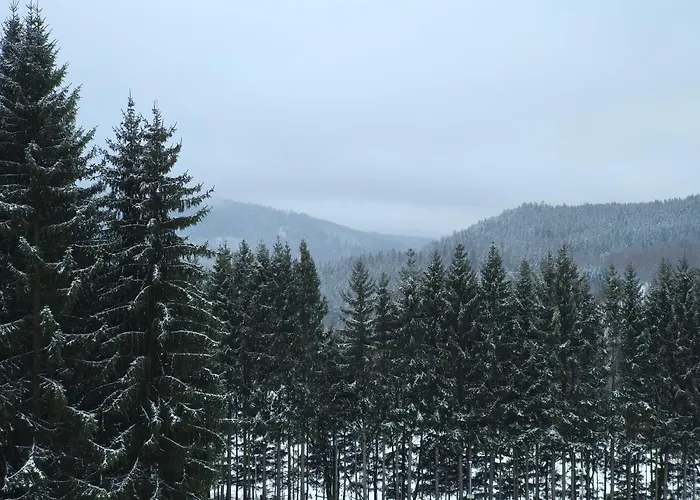 Nest Brcalnik Železná Ruda